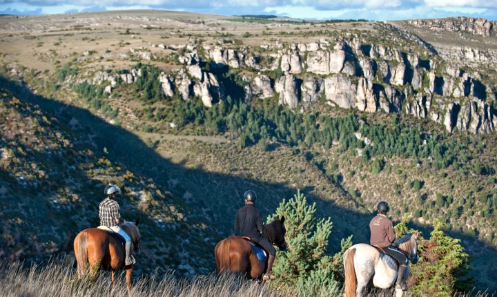 equitation-720x430-1